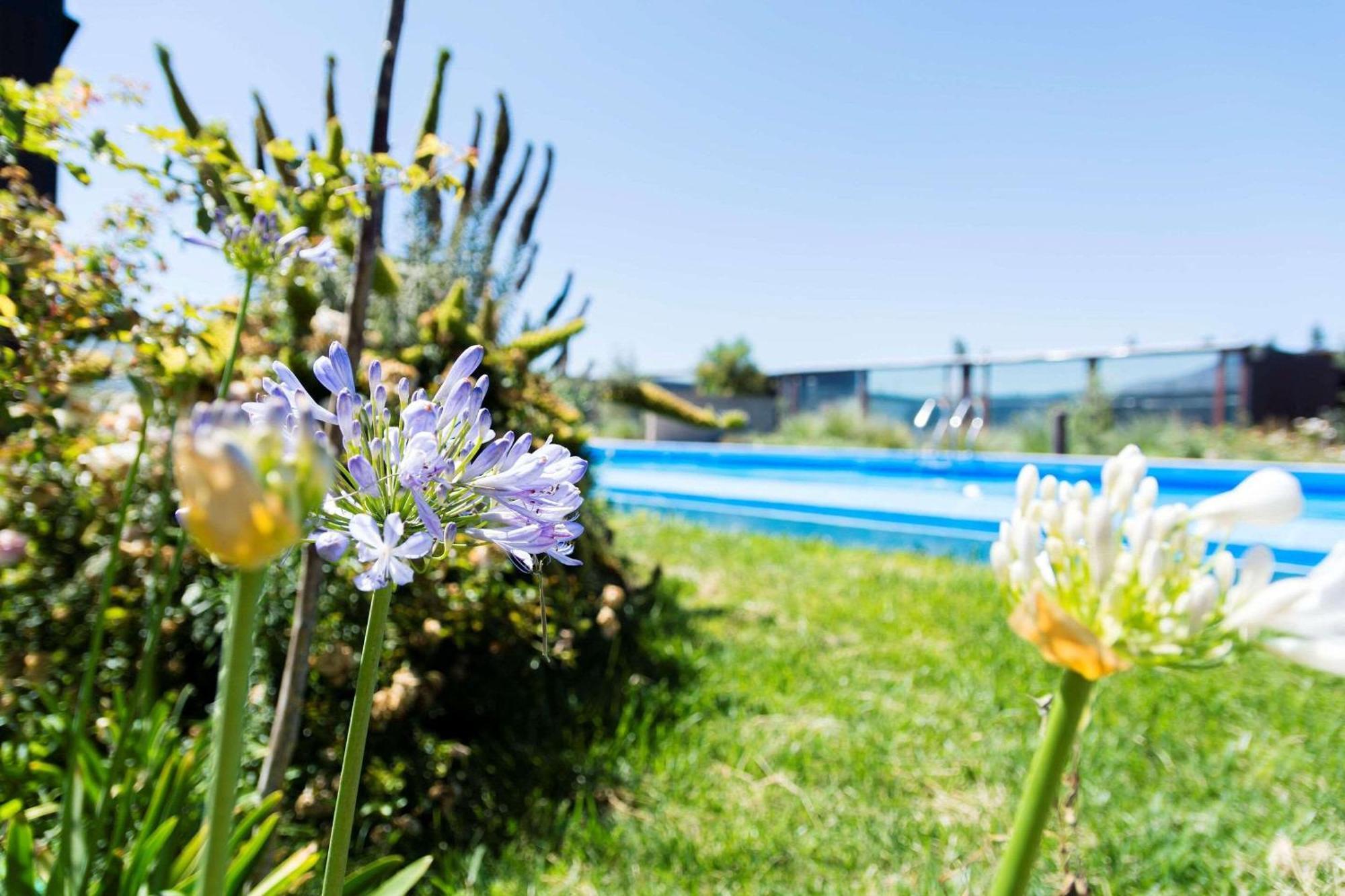 Park Inn By Radisson Los Olivos De Vallenar Eksteriør billede